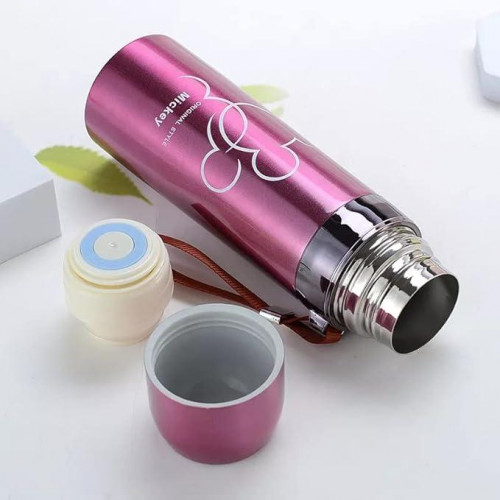 Stylish and modern double-walled steel flask