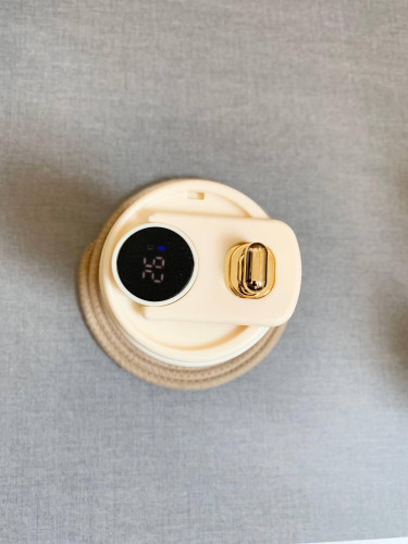 Travel flask with thermometer